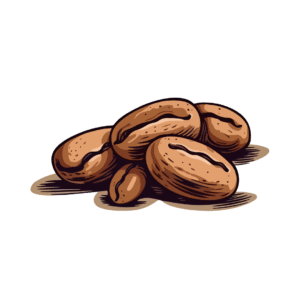 Spanish Class (25min)